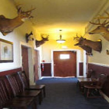 Macarthur Inn Narrows Luaran gambar