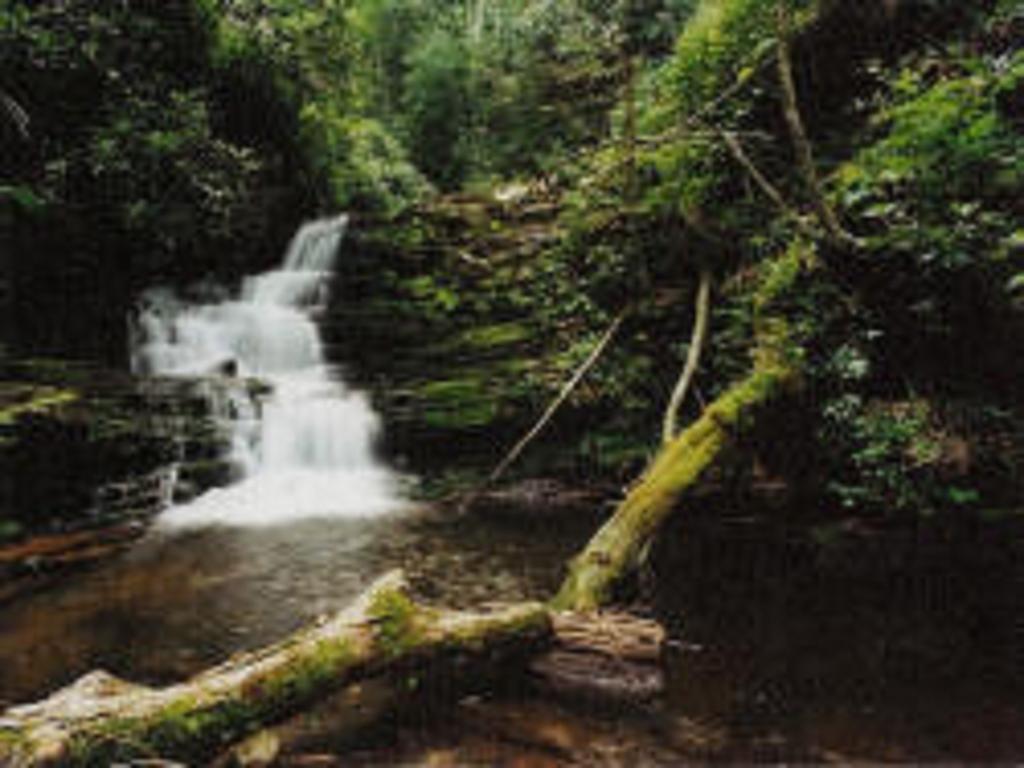 Macarthur Inn Narrows Luaran gambar