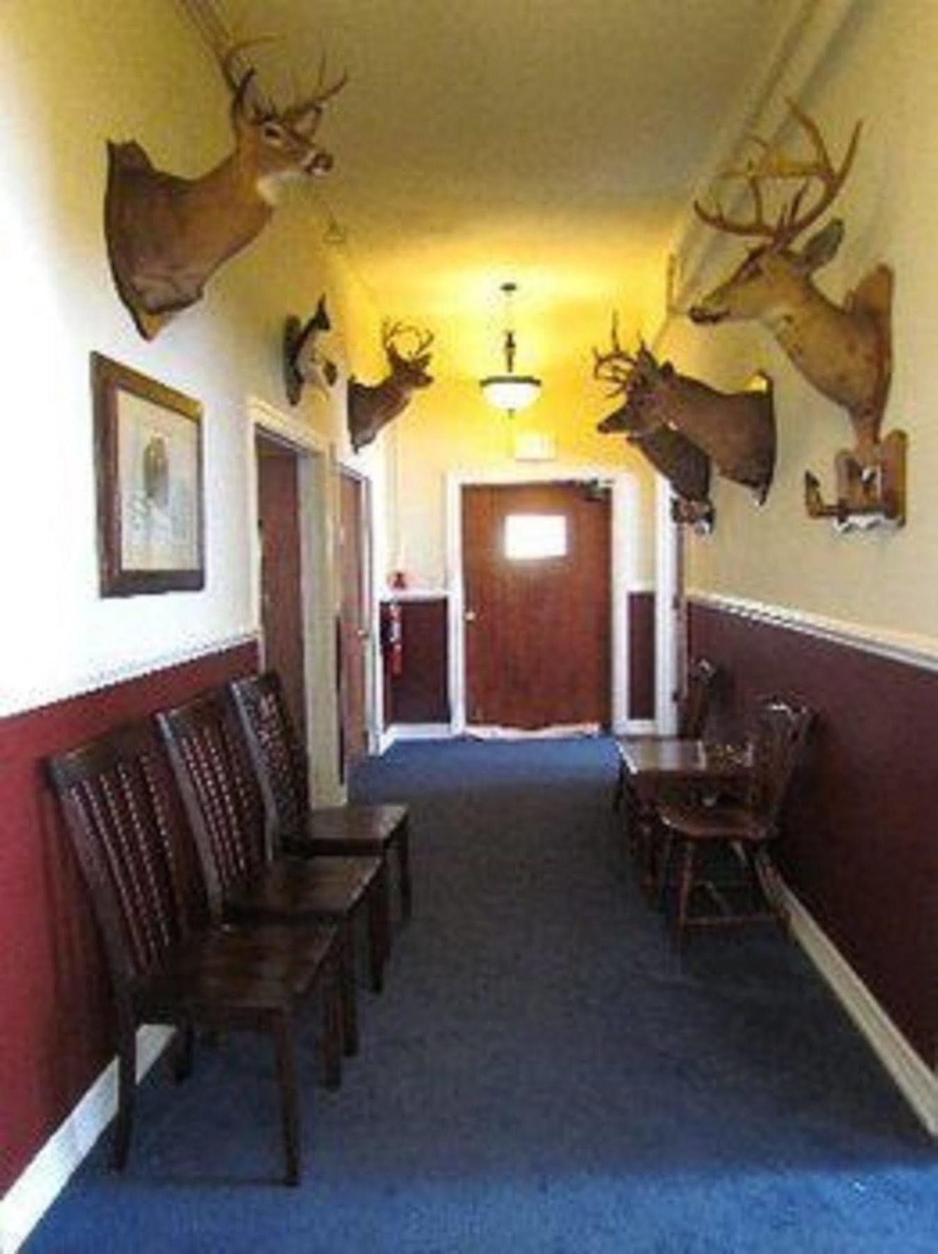 Macarthur Inn Narrows Luaran gambar